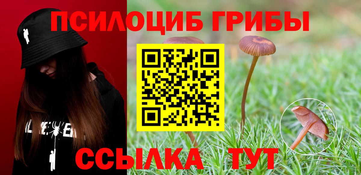 Сыктывкар  Псилоцибиновые грибы GOLDEN TEACHER  Вход с VPN  Галлюциногенные грибы Psilocybe 